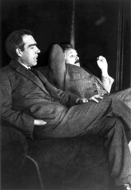 albert-einstein-and-niels-bohr-1163429_640