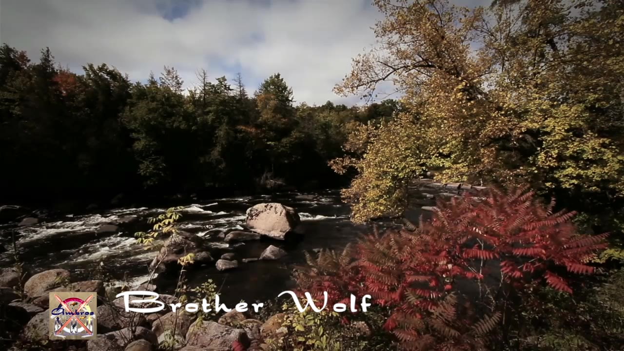 Brother Wolf